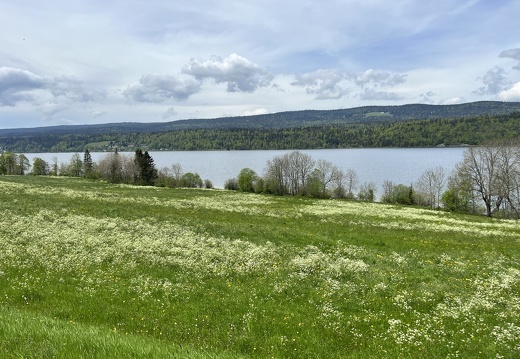 23-05-21 13-18-45 5519